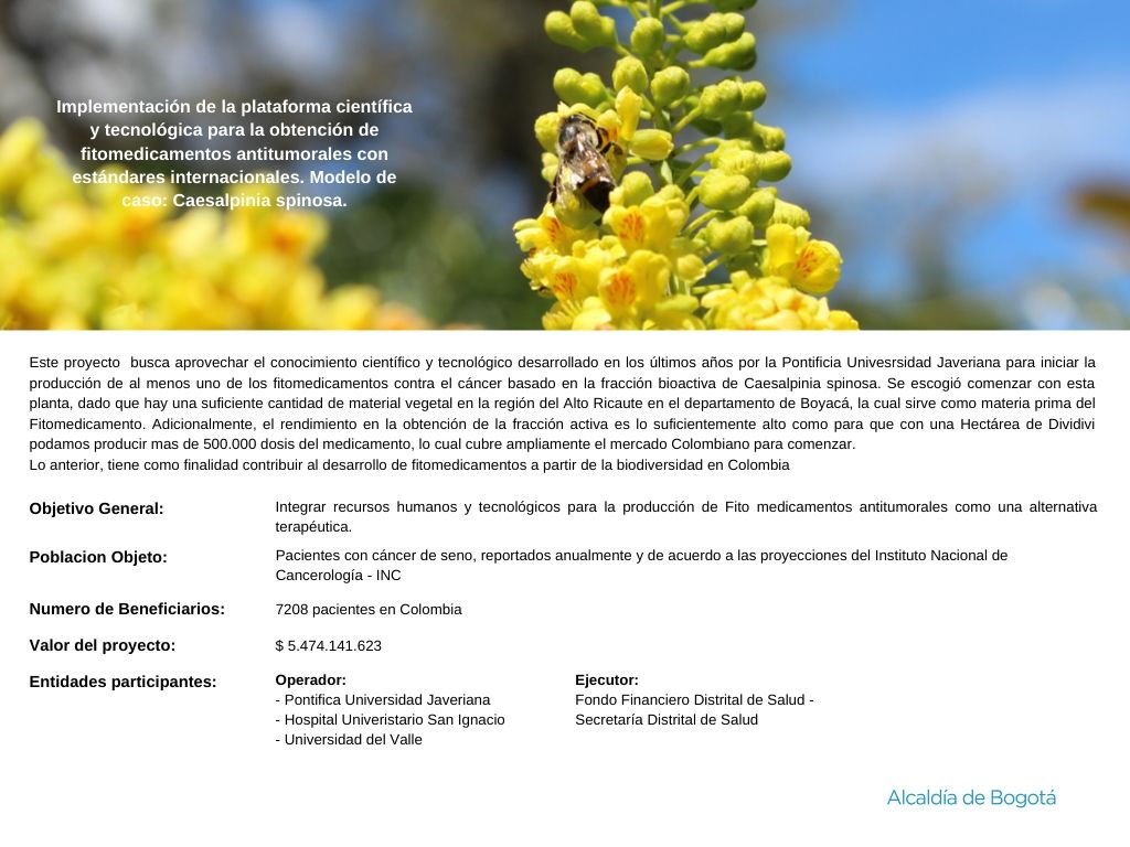 fitomedicamentos