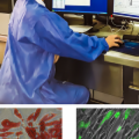 Trabajo de laboratorio