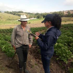 Trabajo de campo