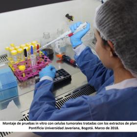 Montaje pruebas in vitro