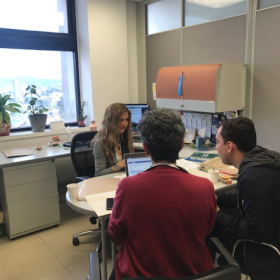 Seguimiento del proyecto