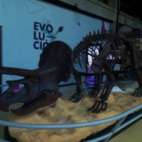 Exposición permanente