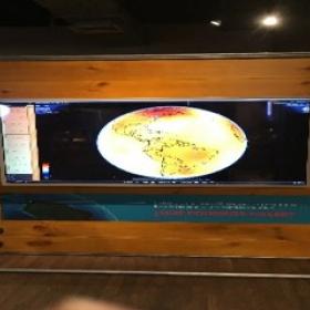 Exposición temporal 