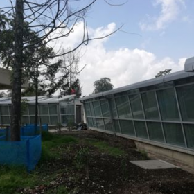 Bloque de cuarentena, mantenimiento y rehabilitación de mamíferos