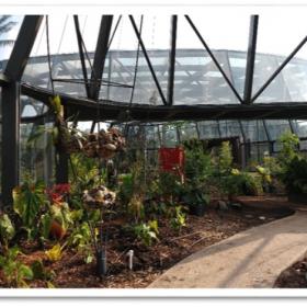 Interior del tropicario