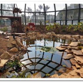 Interior del tropicario1