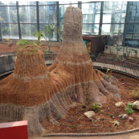 Cárcava – Elemento de Museografía – Tropicario – Jardín Botánico
