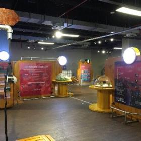 Exposición temporal