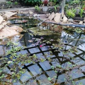 Tropicario