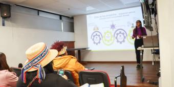 Capacitación Regalías Bogotá Comunidades étnicas