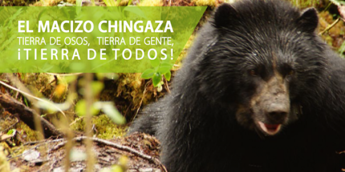 oso_de_anteojos