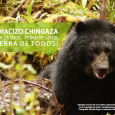 oso_de_anteojos